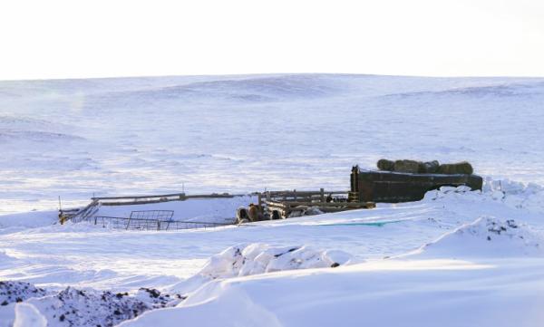 Зудын байдалд үнэлгээ хийхэд 10 аймгийн 37 сум мөсөн буюу төмөр зудтай байна