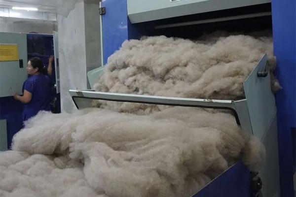 ​Ноосны урамшуулалд 23 тэрбум төгрөг зарцуулна