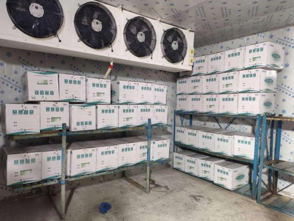 &ldquo;Синофарм&rdquo; үйлдвэрээс тусламжийн 2.5 сая тун вакциныг хүлээн авлаа