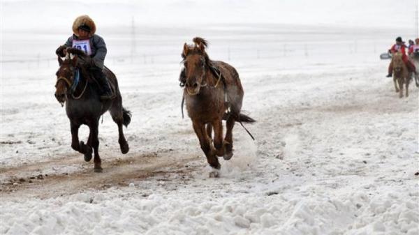 Хүйтний улиралд хурдан морины үсэргээ зохион байгуулсан таван хүнийг торгожээ