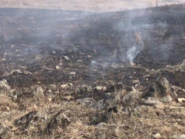 Ой, хээрийн түймрийн 29 удаагийн дуудлага бүртгэгдэж, 70172 га талбай түймэрт өртжээ