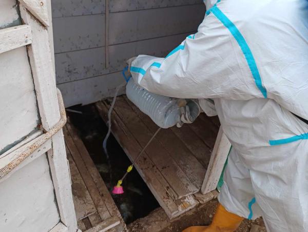 СБД: 12 мянган айл өрхийн нүхэн жорлон, бохирын цооног нийтийн эзэмшлийн 260059 мкв талбайг ариутгаад байна