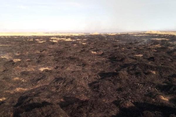 Хэнтий, Дорнод, Архангай аймагт гарсан ой, хээрийн түймрүүдийг унтраалаа