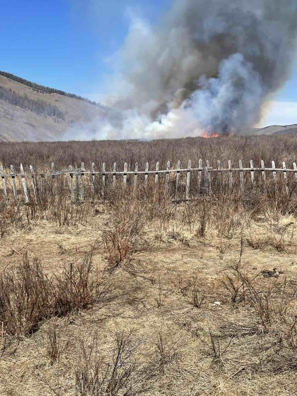 Шар өвс шатсан 36 дуудлага бүртгэгдээд байна