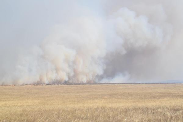 Нөмрөгийн Дархан цаазат хамгаалалтын захиргааны байгаль хамгаалагчид түймрийн голомтод ажиллаж байна