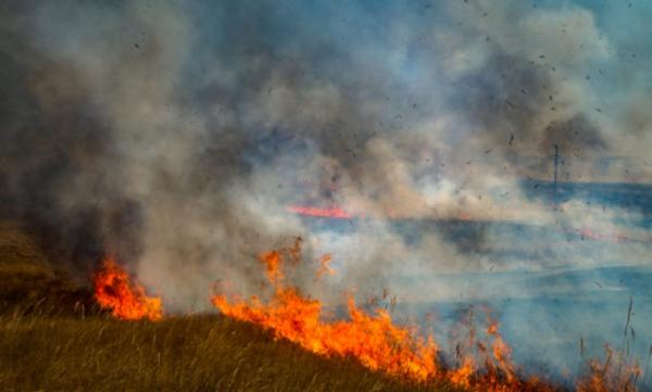 Дорнод, Сүхбаатар аймагт гарсан хээрийн түймрийг бүрэн унтраалаа