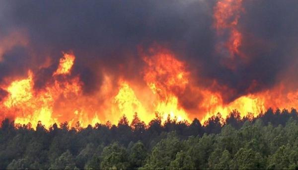 Ой, хээрийн 44 удаагийн түймэр гарч, 435.658 га талбай түймэрт өртсөн байна