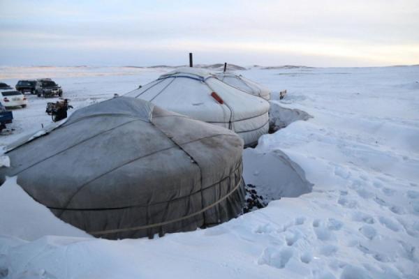 Цаг агаарын нөхцөл байдлаас шалтгаалан ихэнх бүс нутагт өвөлжилт хүндэрсэн өвөл боллоо