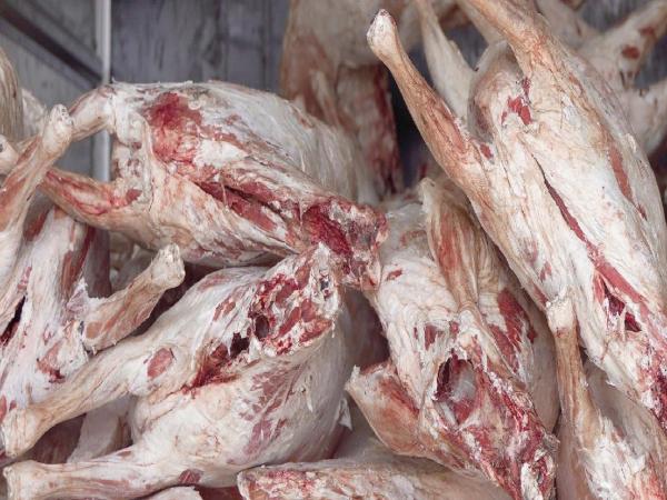 Өнөөдрөөс нөөцийн махны өргөтгөсөн худалдааг зохион байгуулж эхэлнэ