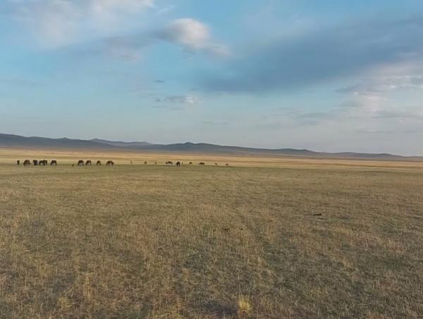 Дорнод, Дарьгангын талд нойтон цас орох бол говийн нутагт 25-30 хэм хүрч хална