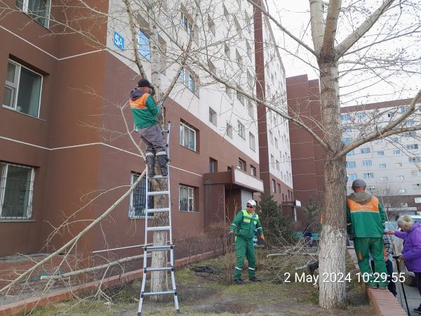 СБД-т ногоон байгууламж, моддын хаврын арчилгаа, усалгааны ажил ид өрнөж байна