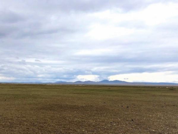 Бэлчээрийн ургамлын ургалт нийт нутгийн 10 орчим хувьд цухуйгаагүй байна