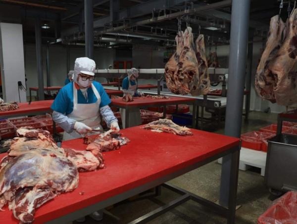 &ldquo;Хүнсний хувьсгал&rdquo;-ын хүрээнд 2023 онд мал төхөөрөх, мах боловсруулах 4 үйлдвэр ашиглалтад оржээ