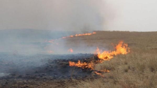 Сүхбаатар аймгийн Эрдэнэцагаан суманд гарсан хээрийн түймрийг бүрэн унтраалаа