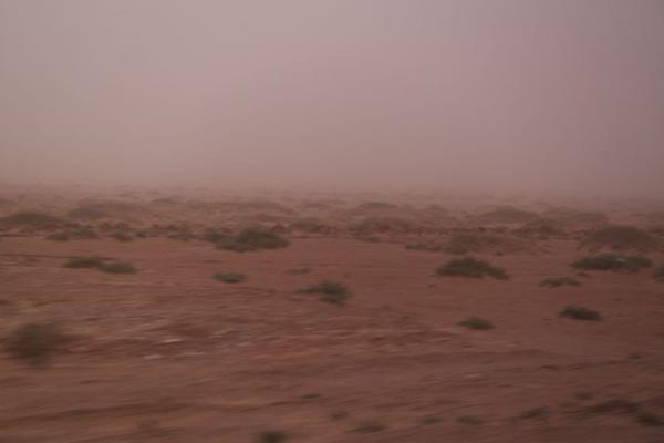 Ихэнх нутгаар бороо орж, салхи, шуургатай байна