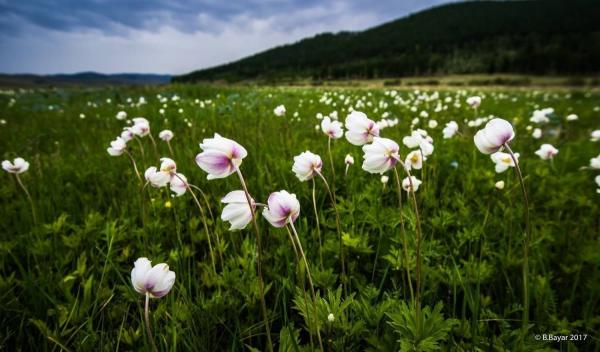 Зургаадугаар сард баруун аймгуудын нутгаар хур тунадас багатай, дулаахан байх төлөвтэй байна