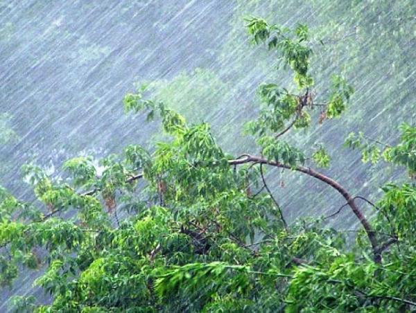 Ойрын өдрүүдэд уулархаг нутгаар бороо орж, салхи түр зуур ширүүснэ