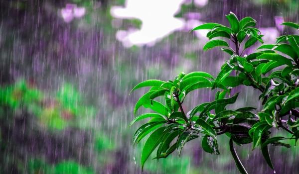 Өнөөдрөөс баруун болон төвийн аймгуудын нутгаар, цаашдаа ихэнх нутгаар усархаг аадар бороо орно