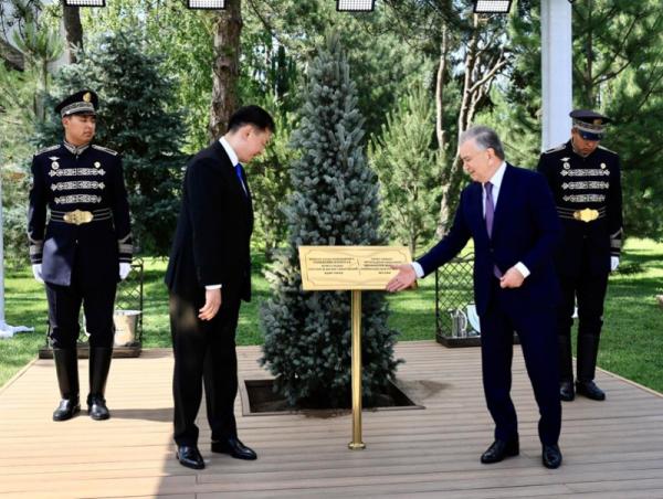 Монгол Улсын Ерөнхийлөгч У.Хүрэлсүх, Найрамдах Узбекистан Улсын Ерөнхийлөгч Ш.Мирзиёев нар дурсгалын мод тарилаа