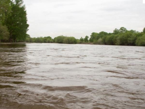 Туул голын усны түвшин Лүн сум орчмоор 50 см нэмэгдэх хандлагатай байна