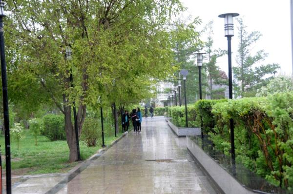 Долоодугаар сард ихэнх нутгаар бороо хур ихтэй байх төлөвтэй байна