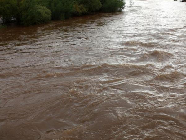 Туул гол Лүн сум орчимд үерийн аюултай түвшинг 30 см давсан байна