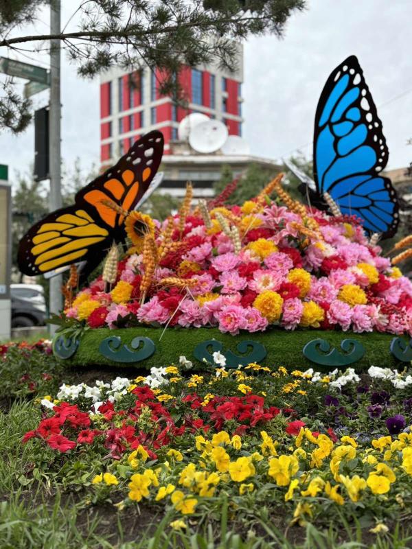 Өнөөдрийн байдлаар 15 төрлийн 1,2 сая цэцэг суулгаад байна