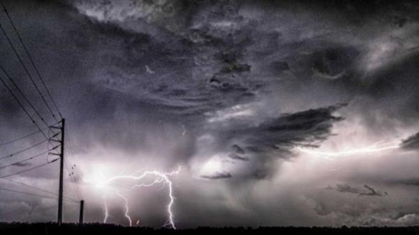 ОБЕГ: Аянга буусны улмаас 61 мал хорогджээ