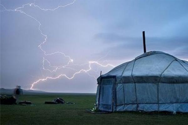 Нэг айлын 87 хонь аянгад цохиулжээ