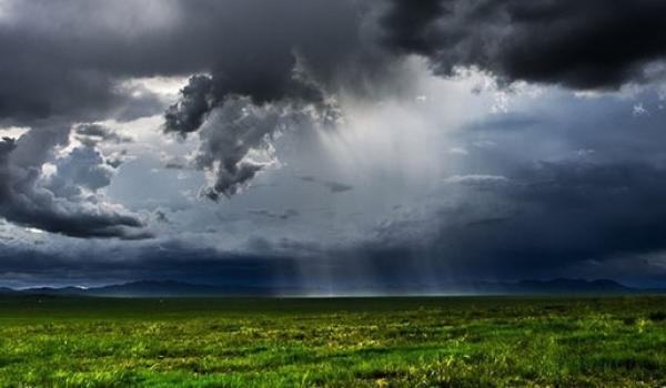 Мэргэжлийн байгууллагаас гаргаж байгаа мэдээ, мэдээллийг тухай бүрт хүлээн авч, аюулгүй байдлаа хангаарай