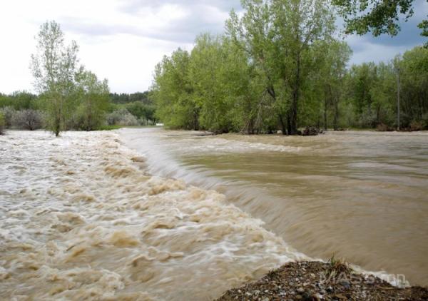 Голууд үерийн аюултай түвшинг 5-75 см даван хүчтэй үерлэж байна