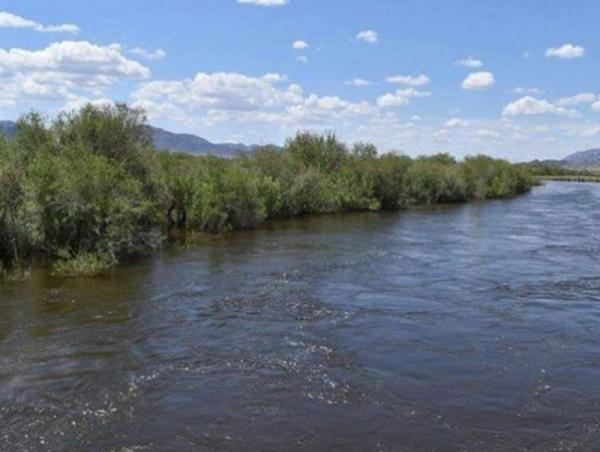 Голууд үертэй байна