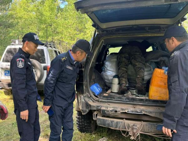 34 шуудай Сибирь хушны үр, идээг хууль бусаар тээвэрлэсэн үйлдлийг илрүүлжээ