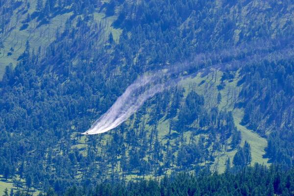 Богдхан уулын ойн санд хортон шавьж устгалын бактерын бэлдмэл цацах ажил эхэллээ