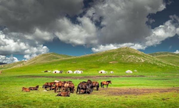 Нийт нутгийн 70 гаруй хувьд зуншлагын байдал сайн байна