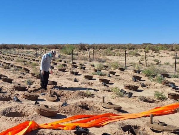 Ус бага зарцуулдаг хувин ашиглаж тарьсан мод 90 хувийн ургалттай байна