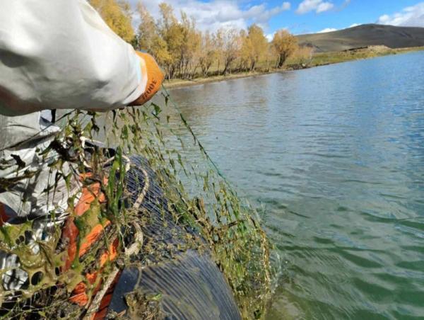 "Доод Цагааннуур"-ын хог хаягдлыг цэвэрлэлээ