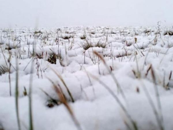 Өвөрхангай аймгийн Есөн-Зүйл суманд их цас унажээ