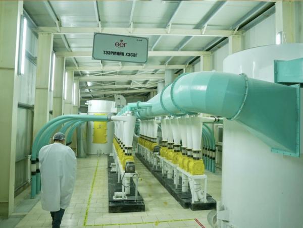 "Өег гурил" ХХК нь ISO9001:2015 олон улсын чанарын удирдлагын тогтолцоог нэвтрүүлжээ
