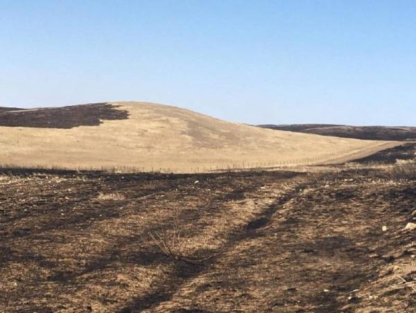 Нутаг дэвсгэрийн 52.6 хувь нь ой, хээрийн гал түймрийн эрсдэлтэй газар нутагт хамаарч байна