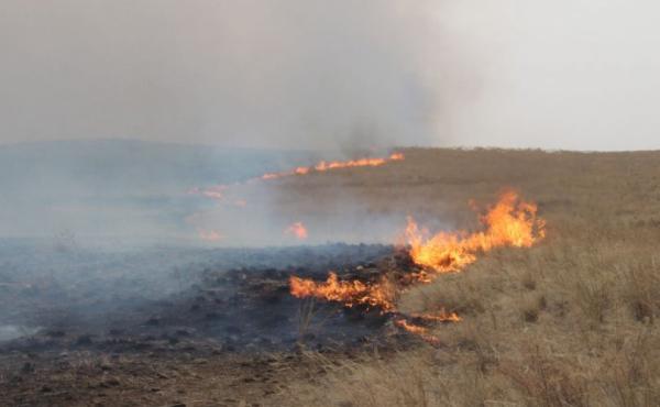 Дорнод аймагт 120 га талбай, Булганд 45 га талбай хээрийн түймэрт өртжээ