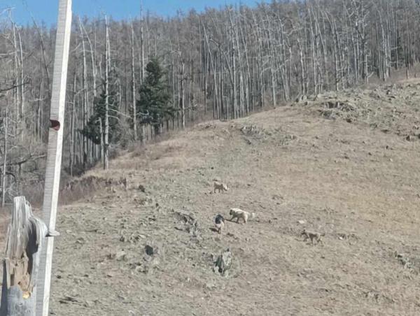 Дөрөвдүгээр сарын 28, 29-нд Богд уул руу гарахгүй байхыг зөвлөж байна