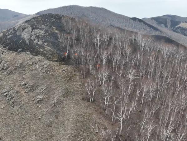 Сэлэнгэ аймгийн Зүүнбүрэн суманд гарсан ойн түймрийг бүрэн унтраалаа