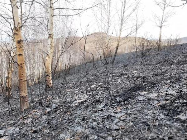 Зүрх ууланд гарсан гал түймрийг бүрэн унтраажээ