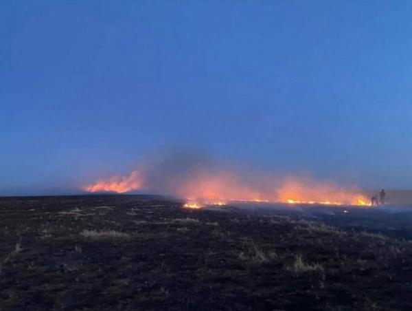 Ой, хээрийн түймрийн өртөх байдлыг тодорхойлоход 7.8 хувь нь маш өндөр байна