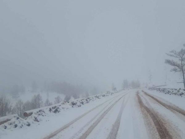 Хол замд зорчихгүй байхыг анхааруулж байна