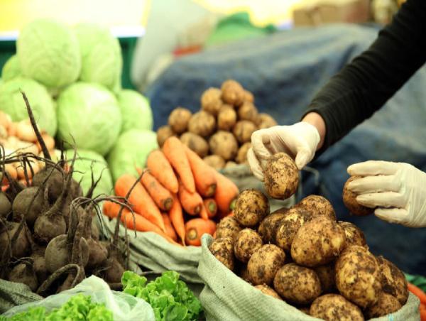 Зургаадугаар сарын 01-ээс эхлэн хүнсний ногооны тариалан эрхлэгчдэд урамшуулал олгоно