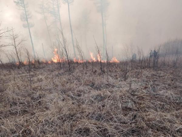Норовлин суманд гарсан ойн түймрийг унтраахаар ажиллаж байна