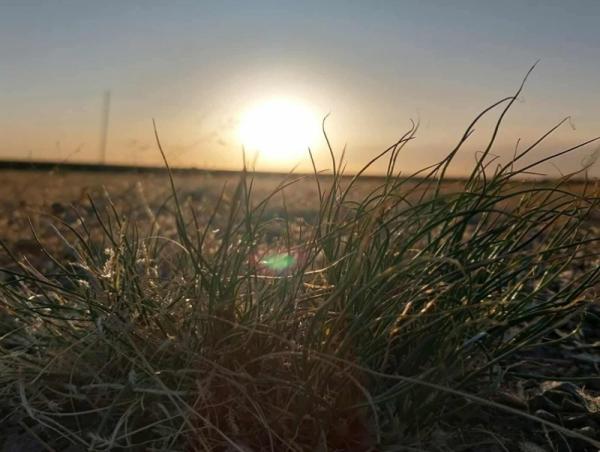 Ихэнх нутгаар дулаарч хуурайшилт нэмэгдэнэ