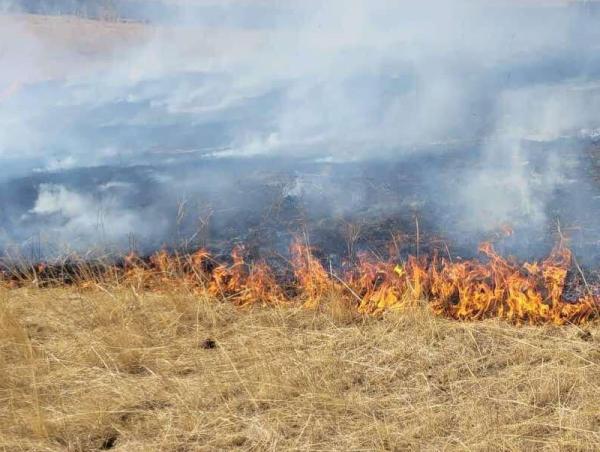 Амралтын өдрүүдэд шар өвс шатсан дуудлага нэмэгддэг